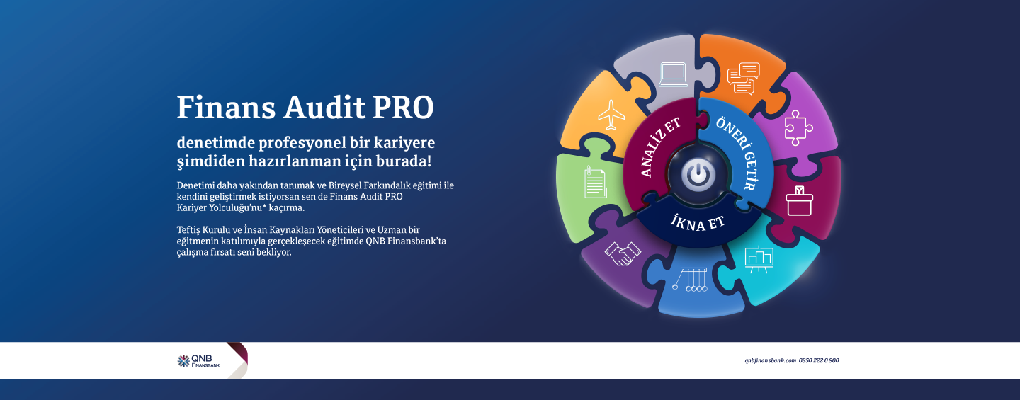 Audit Pro #2